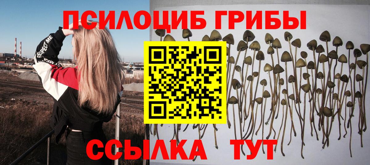 Галлюциногенные грибы мухоморы  Вход с VPN  Черкесск 