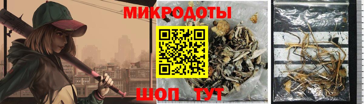 Псилоцибиновые грибы Psilocybe Черкесск