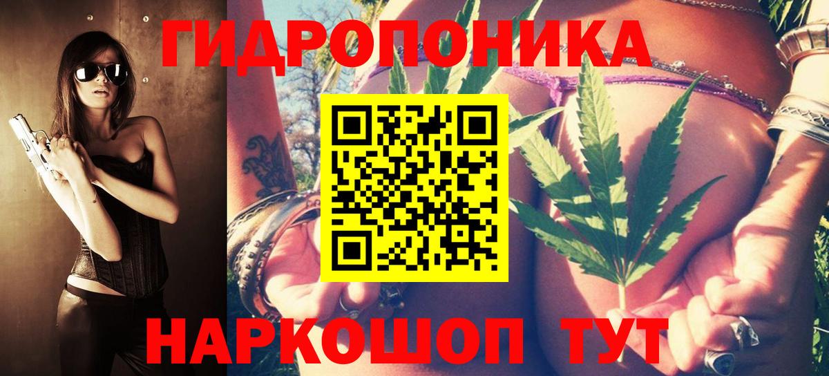 Шишки марихуана план Черкесск
